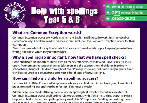 exception words Year 5&6